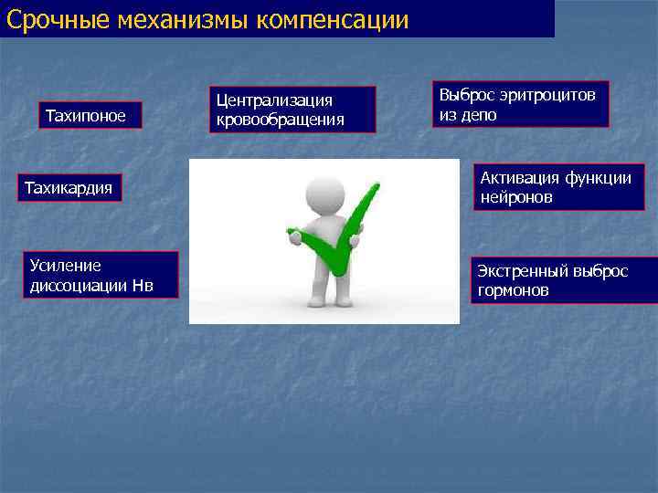 Срочные механизмы компенсации     Централизация  Выброс эритроцитов  Тахипоное кровообращения