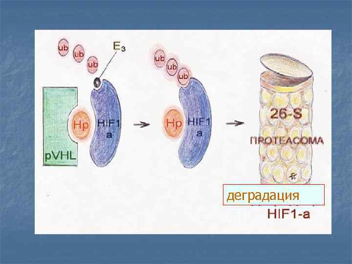 деградация 