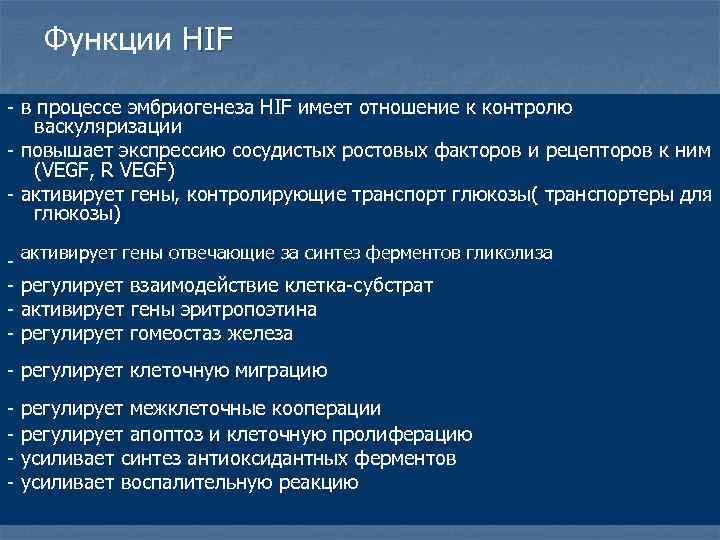   Функции HIF - в процессе эмбриогенеза HIF имеет отношение к контролю 