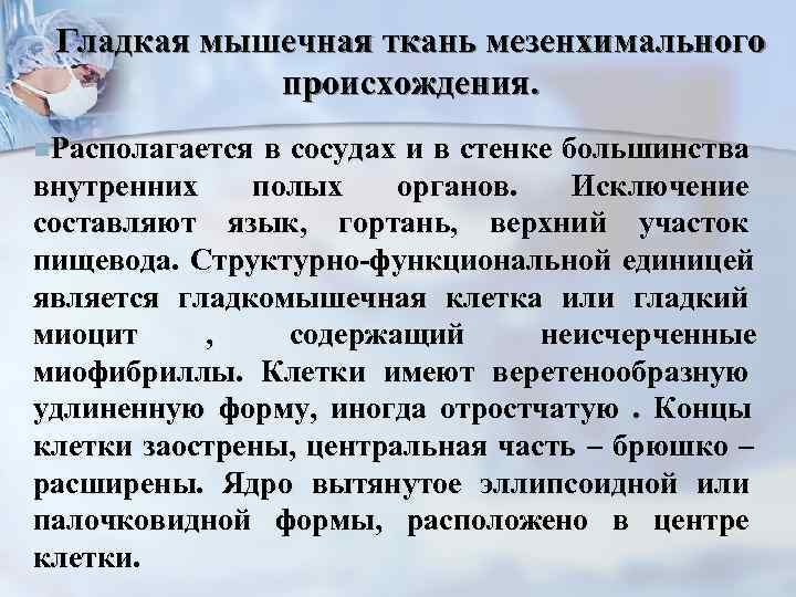  Гладкая мышечная ткань мезенхимального   происхождения. n. Располагается в сосудах и в