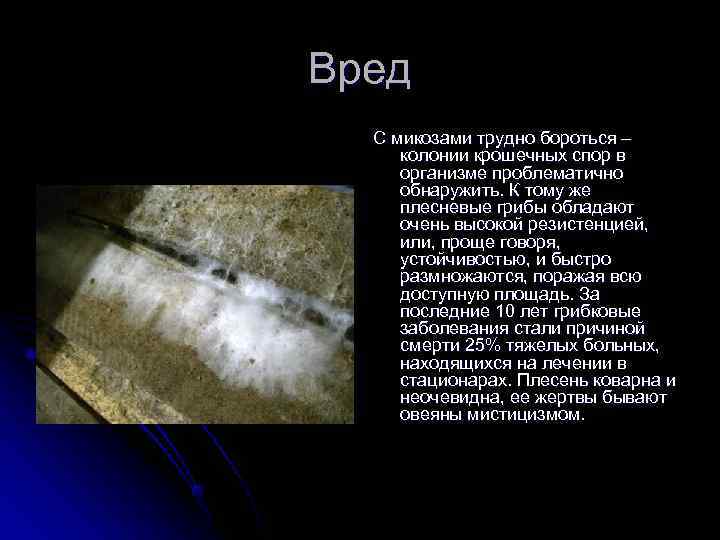 Вред  С микозами трудно бороться – колонии крошечных спор в организме проблематично обнаружить.