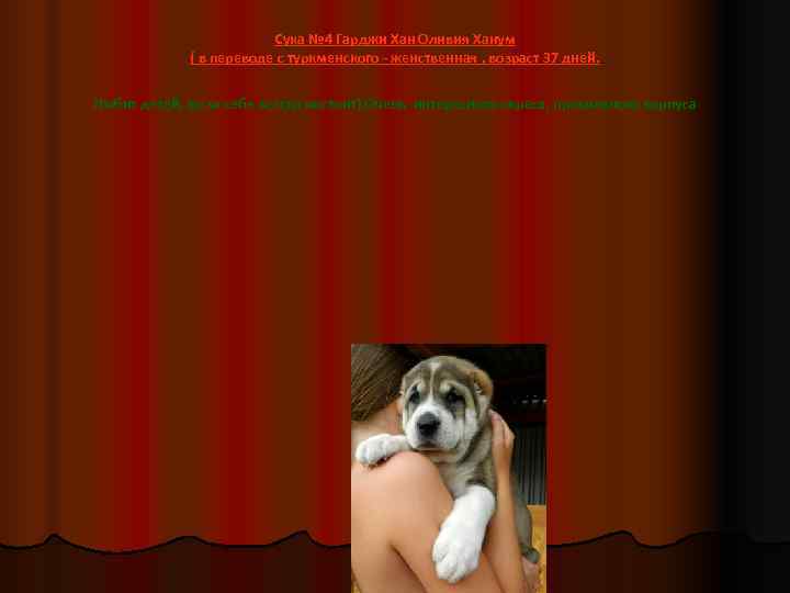      Сука № 4 Гарджи Хан Оливия Ханум  