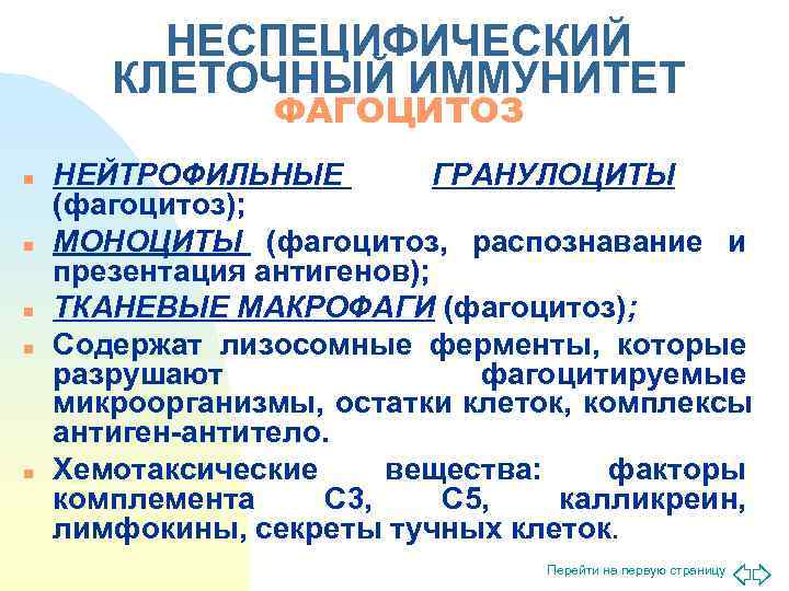    НЕСПЕЦИФИЧЕСКИЙ  КЛЕТОЧНЫЙ ИММУНИТЕТ   ФАГОЦИТОЗ n  НЕЙТРОФИЛЬНЫЕ 