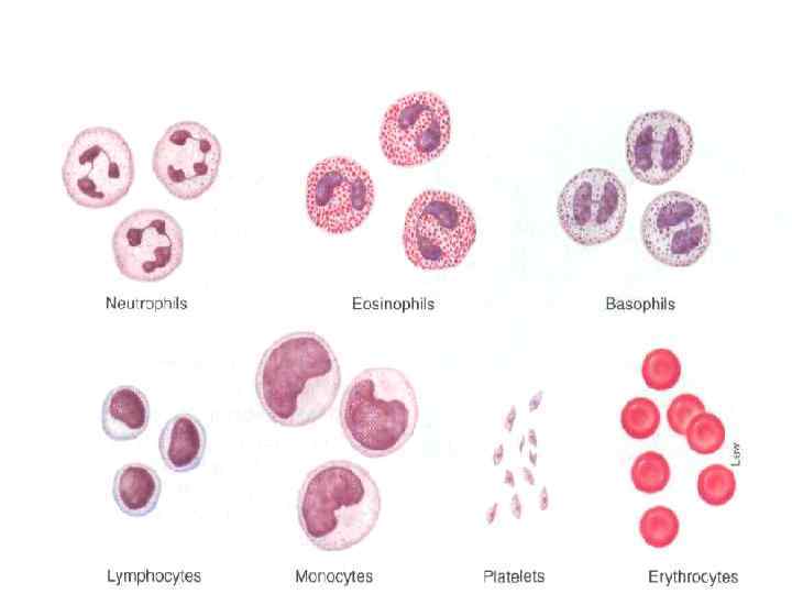 Перейти на первую страницу 