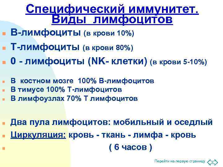   Специфический иммунитет.  Виды лимфоцитов n  В-лимфоциты (в крови 10%) n