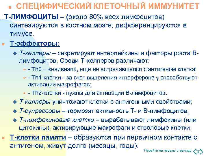  n  СПЕЦИФИЧЕСКИЙ КЛЕТОЧНЫЙ ИММУНИТЕТ Т-ЛИМФОЦИТЫ – (около 80% всех лимфоцитов) 
