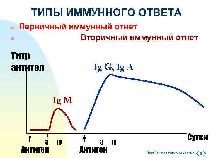 Вторичный иммунный ответ