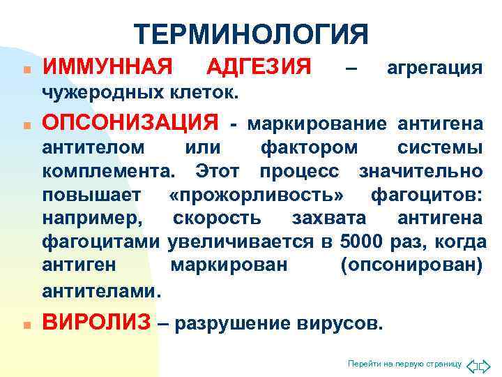   ТЕРМИНОЛОГИЯ n  ИММУННАЯ  АДГЕЗИЯ –  агрегация чужеродных клеток. n
