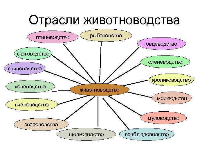 Заполните схему структура животноводства мира животноводство