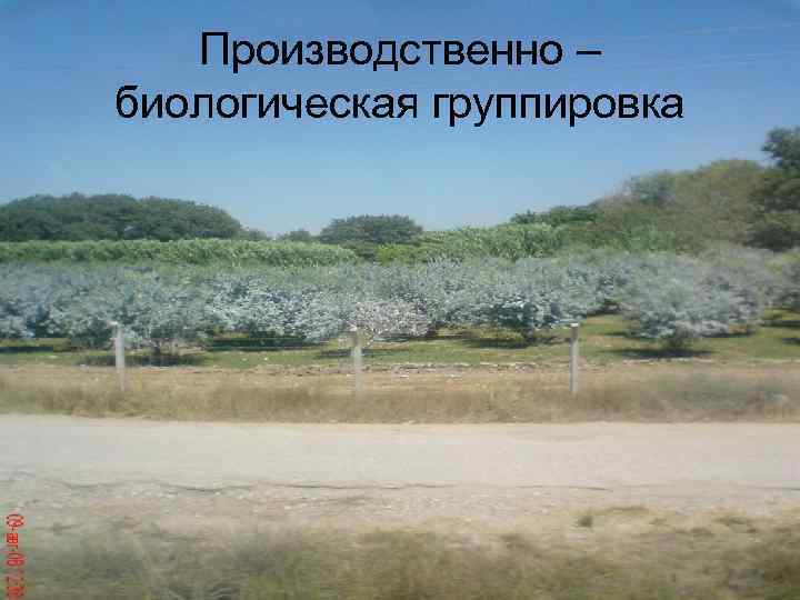   Производственно – биологическая группировка 