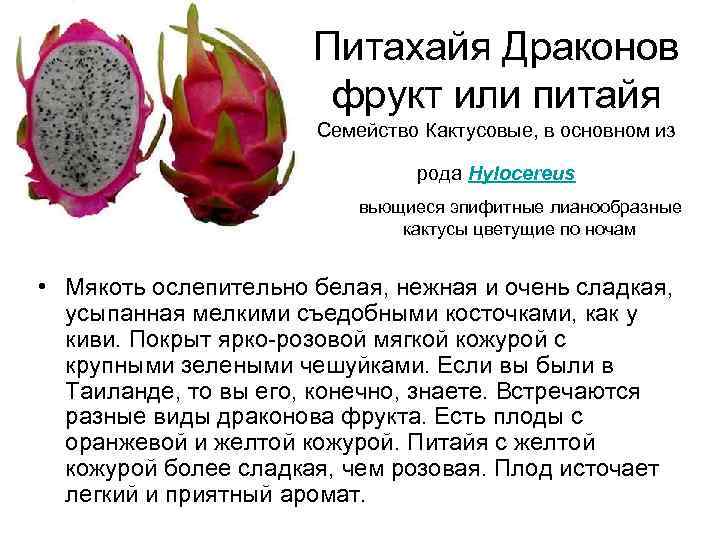 Фрукт питахайя фото и описание