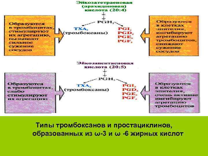  Типы тромбоксанов и простациклинов, образованных из ω 3 и ω 6 жирных кислот