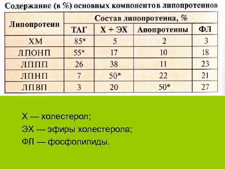 X — холестерол; ЭХ — эфиры холестерола; ФЛ — фосфолипиды. 