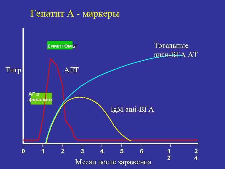   Гепатит А - маркеры     симптомы   