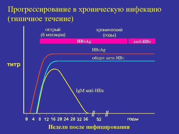 Прогрессирование в хроническую инфекцию (типичное течение)   острый    хронический 