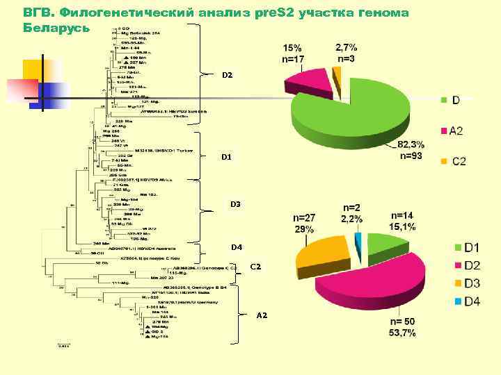 ВГВ. Филогенетический анализ pre. S 2 участка генома Беларусь     