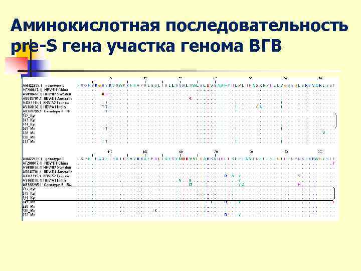 Аминокислотная последовательность pre-S гена участка генома ВГВ 