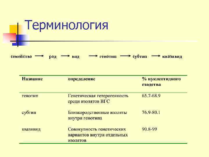  Терминология семейство  род  вид  генотип  субтип  квазивид 