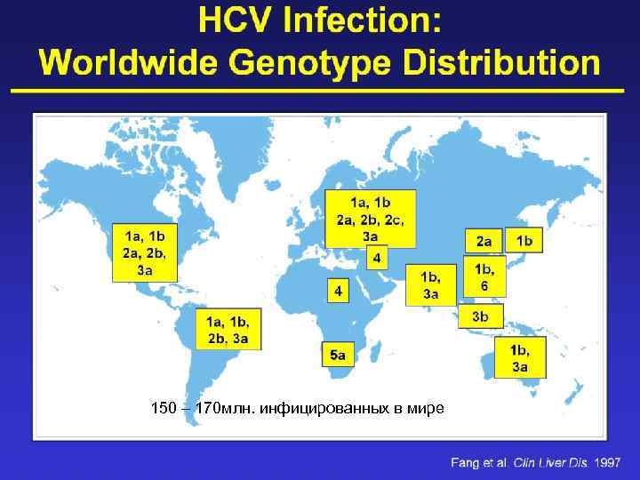 150 – 170 млн. инфицированных в мире 