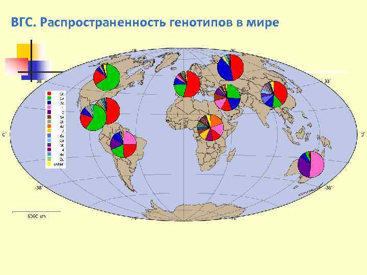 ВГС. Распространенность генотипов в мире 