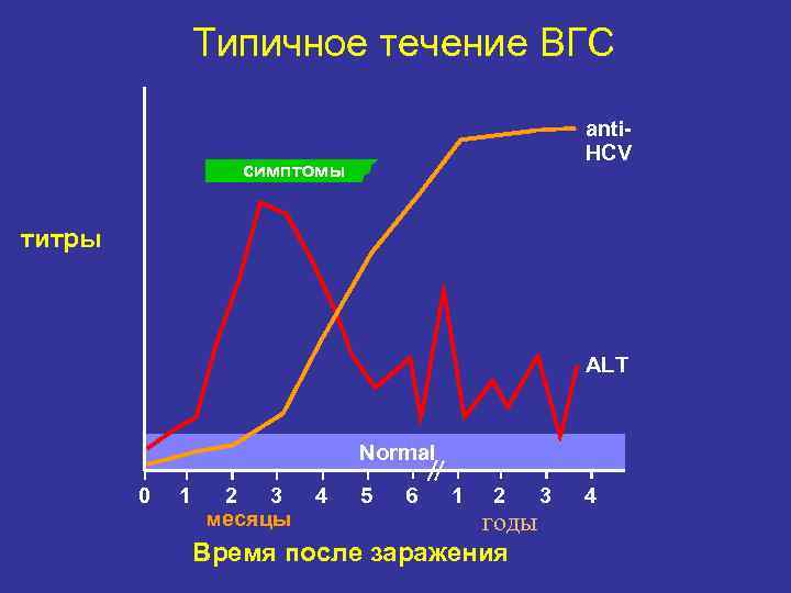     Типичное течение ВГС     anti-  
