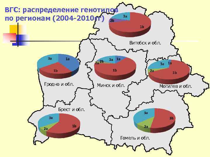 ВГС: распределение генотипов по регионам (2004 -2010 гг)    Витебск и обл.