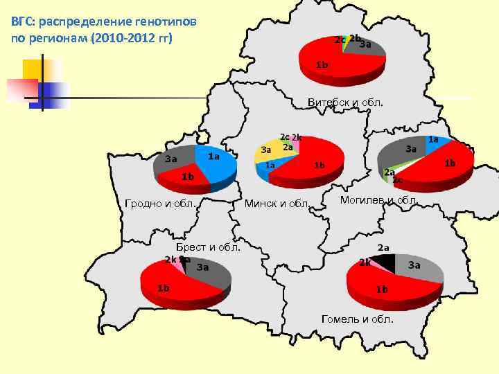 ВГС: распределение генотипов по регионам (2010 -2012 гг)     Витебск и