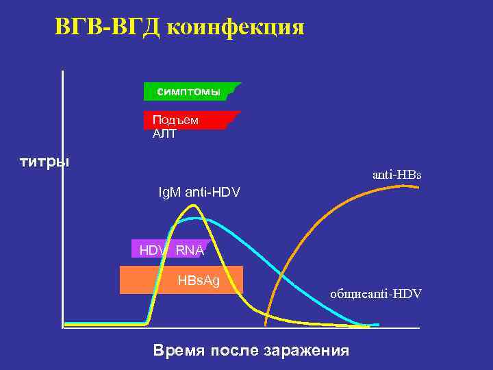   ВГВ-ВГД коинфекция  симптомы  Подъем  АЛТ титры   