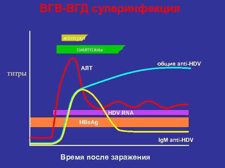   ВГВ-ВГД суперинфекция   желтуха   симптомы    