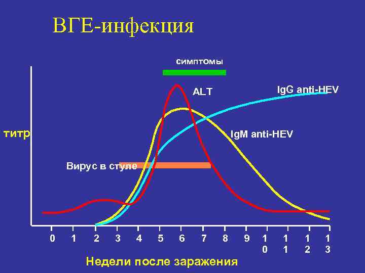   ВГЕ-инфекция       симптомы    ALT