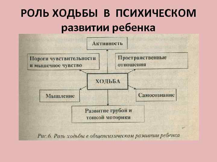 РОЛЬ ХОДЬБЫ В ПСИХИЧЕСКОМ  развитии ребенка 