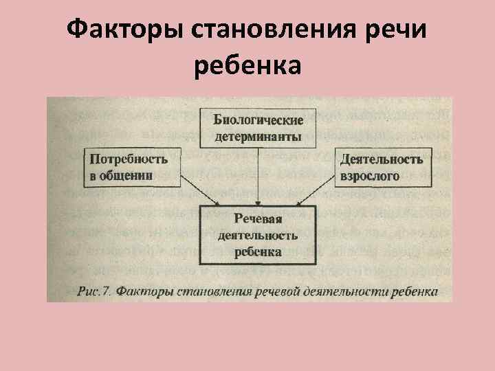 Факторы становления речи   ребенка 