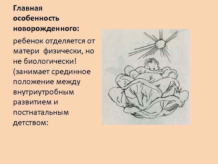 Главная особенность новорожденного: ребенок отделяется от матери физически, но не биологически! (занимает срединное положение