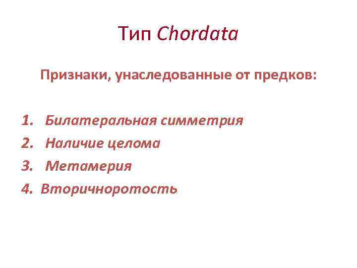     Тип Chordata Признаки, унаследованные от предков:  1.  Билатеральная