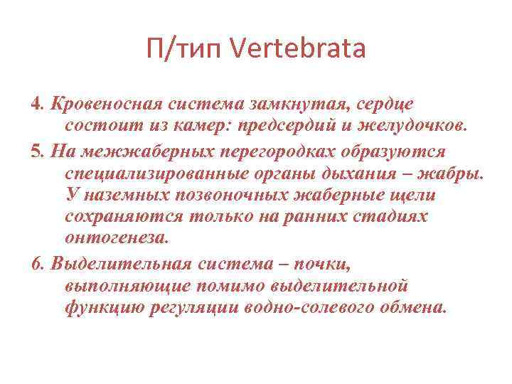   П/тип Vertebrata 4. Кровеносная система замкнутая, сердце состоит из камер: предсердий и