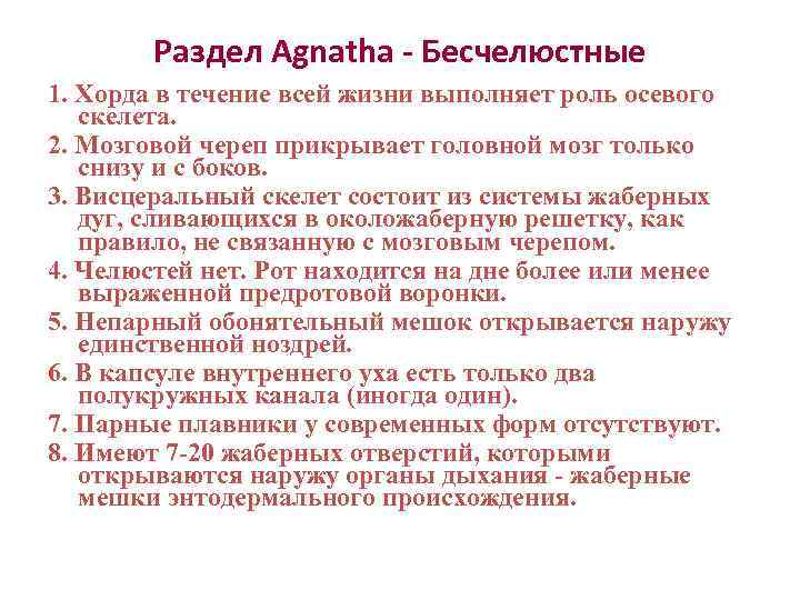   Раздел Agnatha - Бесчелюстные 1. Хорда в течение всей жизни выполняет роль