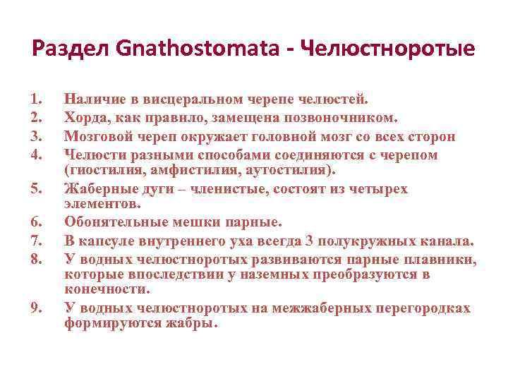Раздел Gnathostomata - Челюстноротые 1.  Наличие в висцеральном черепе челюстей. 2.  Хорда,