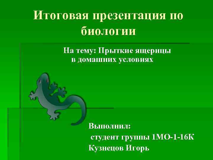 Итоговая презентация по   биологии На тему: Прыткие ящерицы  в домашних условиях