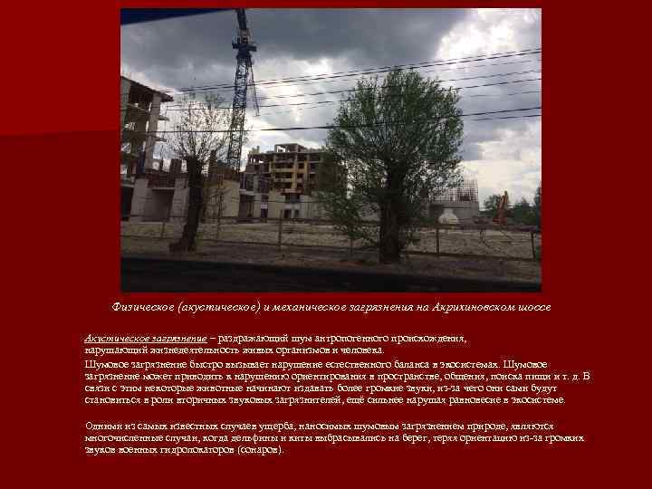    Физическое (акустическое) и механическое загрязнения на Акрихиновском шоссе  Акустическое загрязнение