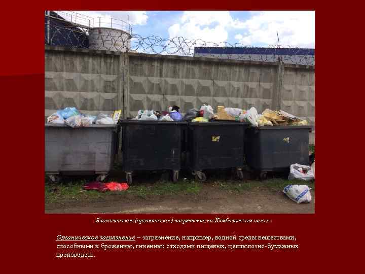   Биологическое (органическое) загрязнение на Химбазовском шоссе Органическое загрязнение – загрязнение, например, водной