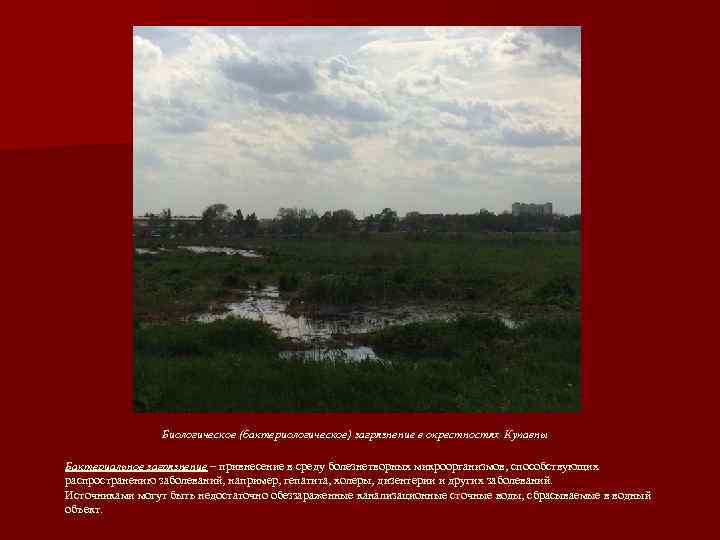     Биологическое (бактериологическое) загрязнение в окрестностях Купавны Бактериальное загрязнение – привнесение