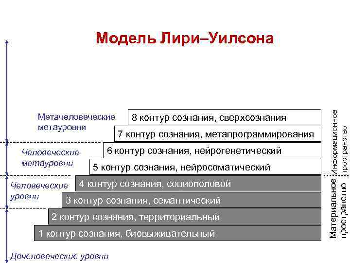 Модель Лири–Уилсона Материальное Информационное Метачеловеческие 8 Модель Лири–Уилсона Материальное Информационное Метачеловеческие 8