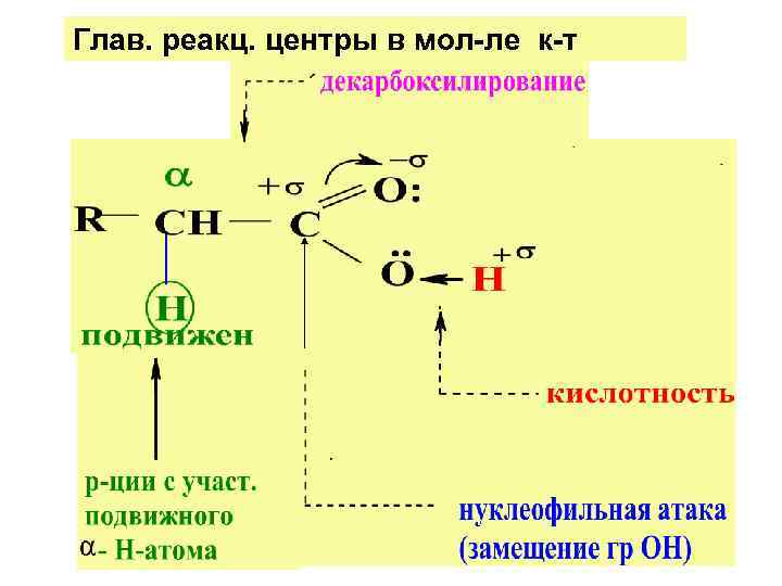 Глав. реакц. центры в мол-ле к-т 
