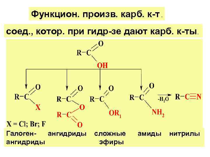   Функцион. произв. карб. к-т. соед. , котор. при гидр-зе дают карб. к-ты.
