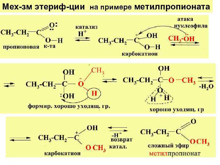Пропионовая кислота продукт реакции. Реакция этерификации для получения метилпропионата. Метилпропионат из пропионовой кислоты. Гидрохлорирование 2 пропеновой кислоты. Метилпропионат получение метанола.