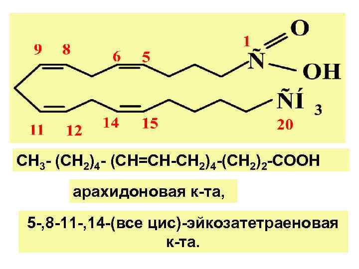 СН 3 - (СН 2)4 - (СН=СН-СН 2)4 -(СН 2)2 -СООН  арахидоновая к-та,