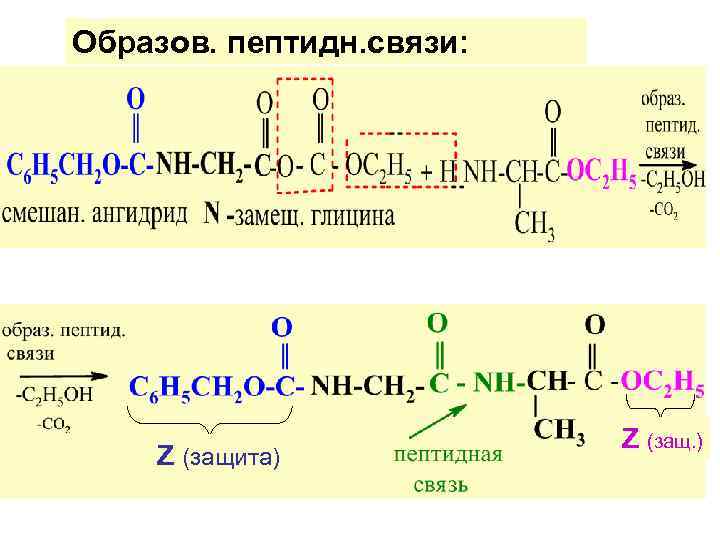 Образов. пептидн. связи:      Z (защ. ) Z (защита) 
