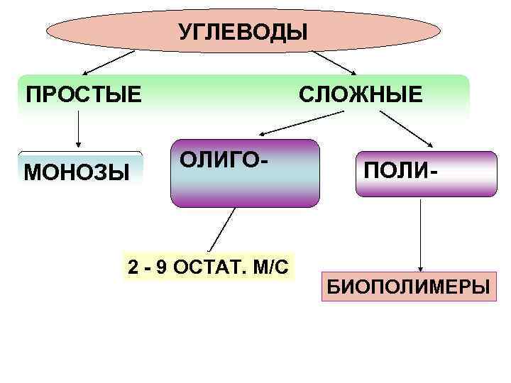    УГЛЕВОДЫ ПРОСТЫЕ   СЛОЖНЫЕ   ОЛИГО-  ПОЛИ- МОНОЗЫ