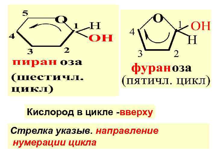   Кислород в цикле -вверху Стрелка указыв. направление нумерации цикла 