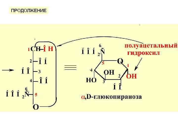 ПРОДОЛЖЕНИЕ 